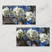 白い花の塊 春に咲く梨の木 名刺 (正面/裏面)