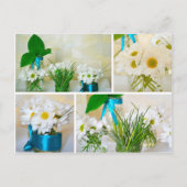 白い花の春の色 ポストカード (正面)