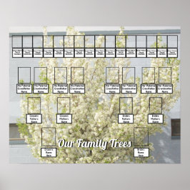 白い花の春ツリー写真2家族の木 ポスター
