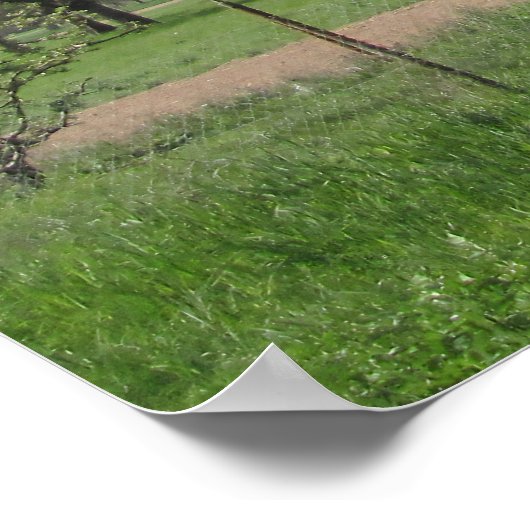 白い花の木 ポスター (角)