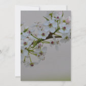 白い花の結婚木 招待状 (裏面)