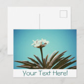 白い花の緑の植物はがきスタイリッシュ ポストカード (正面/裏面)