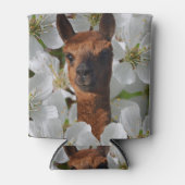 白い花の茶色の若いアルパカ 缶クーラー (正面)