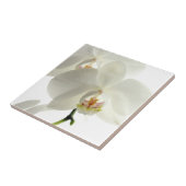 白い花の蘭の花の花柄の自然 タイル (側面)