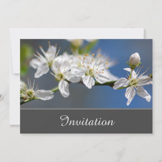 白い花の魅惑的な招待状 招待状 (正面)