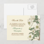 白い花はがきを保存すエレガントる 案内ポストカード (正面/裏面)