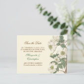 白い花はがきを保存すエレガントる 案内ポストカード (スタンド正面)