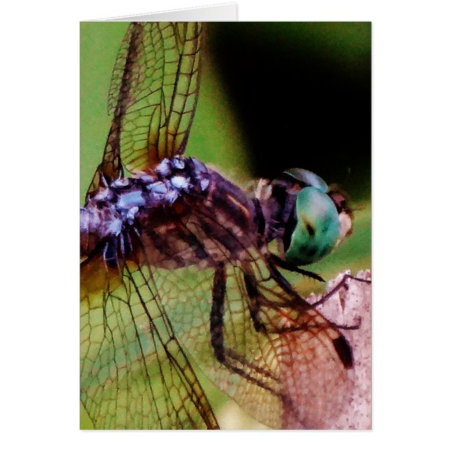 白い花をつけるトンボ (正面)