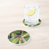 白い花をつけるトンボ コースター (側面)