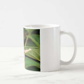 白い花をつけるトンボ コーヒーマグカップ