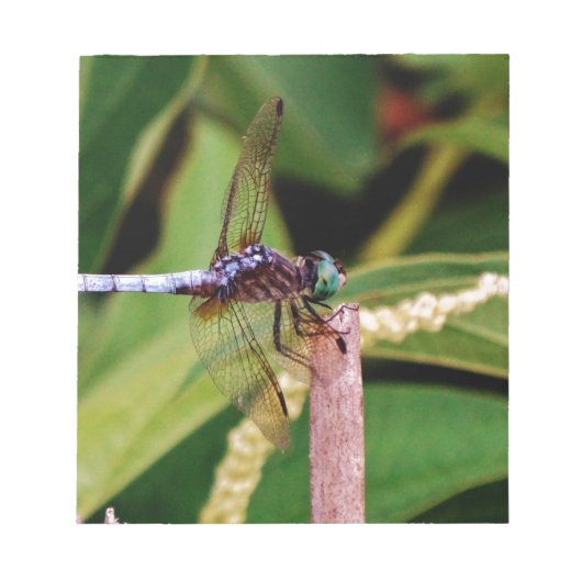 白い花をつけるトンボ ノートパッド (正面)