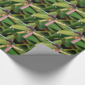 白い花をつけるトンボ ラッピングペーパー (角)