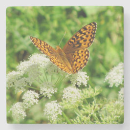 白い花を持つオレンジと黒の蝶 ストーンコースター