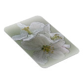 白い花を3つ マグネット (右側)