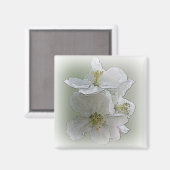 白い花を3つ マグネット (正面/裏面)