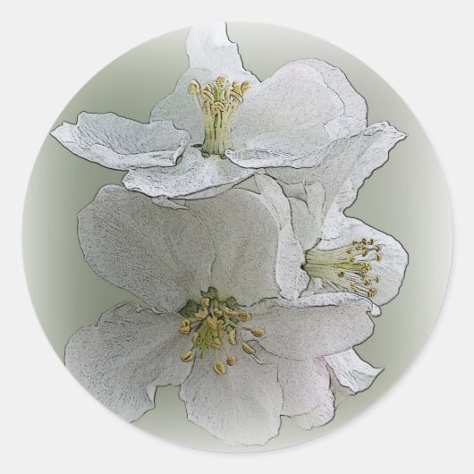 白い花を3つ ラウンドシール (正面)
