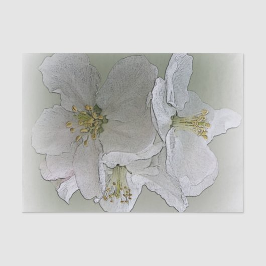 白い花を3つ 薄葉紙 (正面)