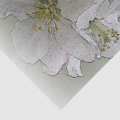 白い花を3つ 薄葉紙 (詳細)
