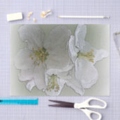 白い花を3つ 薄葉紙 (クラフト)