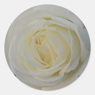 白い花シール ラウンドシール