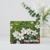 白い花ハッピーバースデー。アネモネ腺症 シーズンポストカード (スタンド正面)