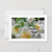 白い花フラットサンキューカード サンキューカード (正面)