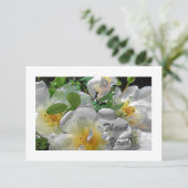 白い花フラットサンキューカード サンキューカード (スタンド正面)