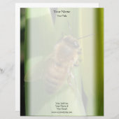 白い花レターヘッドの蜂 レターヘッド (正面/裏面)