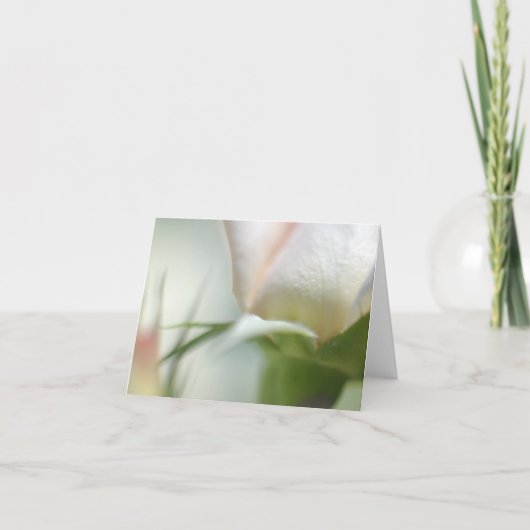 白い花折りグリーティングカード カード (正面)