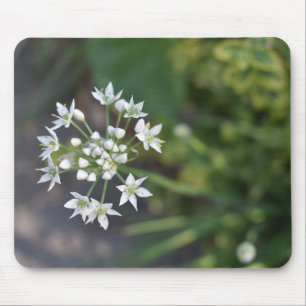 白い花繊細なフローラ花自然写真 マウスパッド
