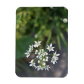 白い花繊細なフローラ花自然写真 マグネット (縦)