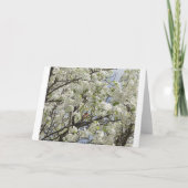 白い花間の（鳥）ショウジョウコウカンチョウ カード (裏面)