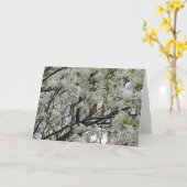 白い花間の（鳥）ショウジョウコウカンチョウ カード (黄色い花)