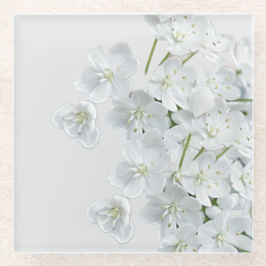 白い花 ガラスコースター (正面)