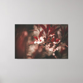 白い花 キャンバスプリント
