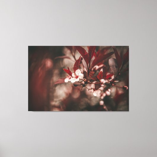 白い花 キャンバスプリント (正面)