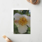 白い花、クローズアップ ノートカード (正面/裏面インサイチュ)