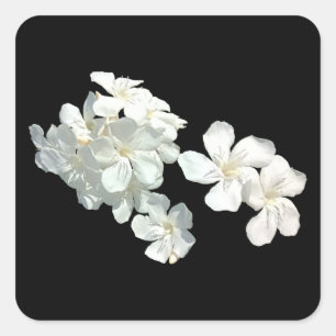 白い花 スクエアシール