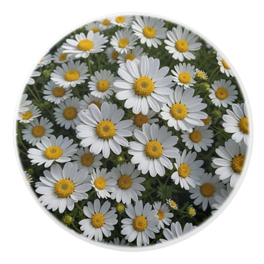 白い花 セラミックノブ (正面)