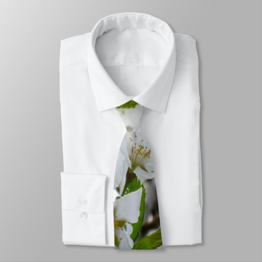 白い花 ネクタイ (タイ)