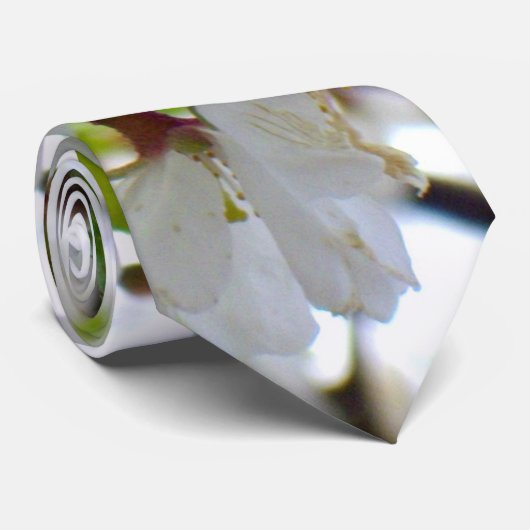 白い花 ネクタイ (ロール)