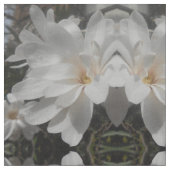 白い花 ファブリック (クローズアップ)