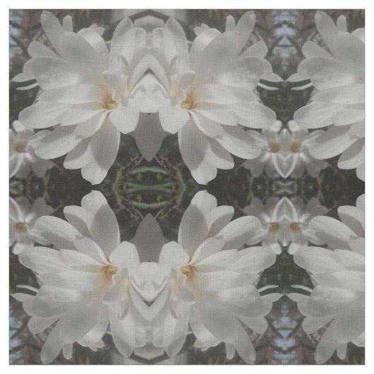 白い花 ファブリック (見本)