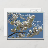 白い花 ポストカード (正面/裏面)