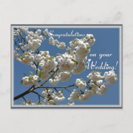 白い花 ポストカード