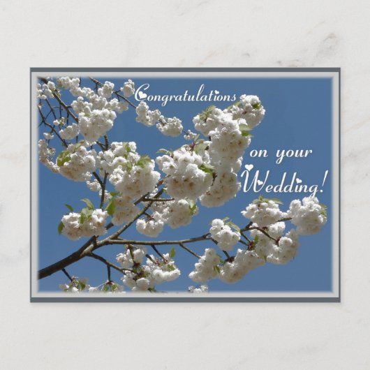 白い花 ポストカード (正面)