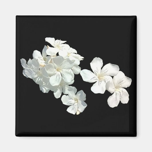 白い花 マグネット (正面)