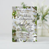 白い花 招待状 (スタンド正面)