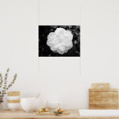 白い花(白黒) ポスター (キッチン)