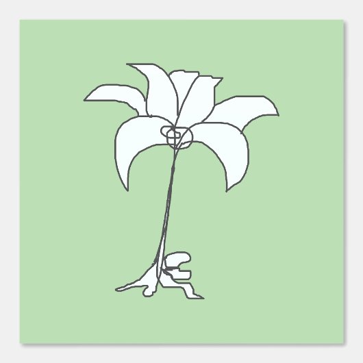 白い花　薄緑色 壁紙 (正面)